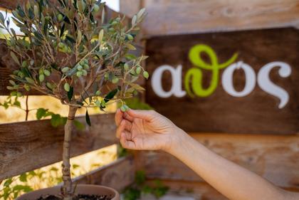 Βιωματικό Εργαστήριο Σαπωνοποίησης & Γνωριμία Βοτάνων στο εργαστήριο αθός