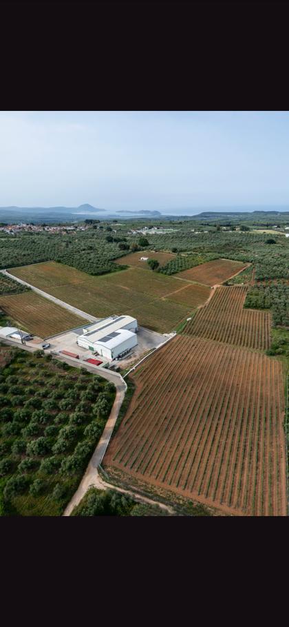 Panagiotopoulos Family Estate Wines